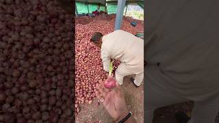 ഉള്ളി കഥ part 01 #onion #export  #import
