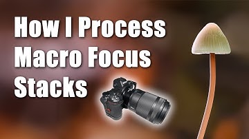 How I post-process my macro photography focus stacks
