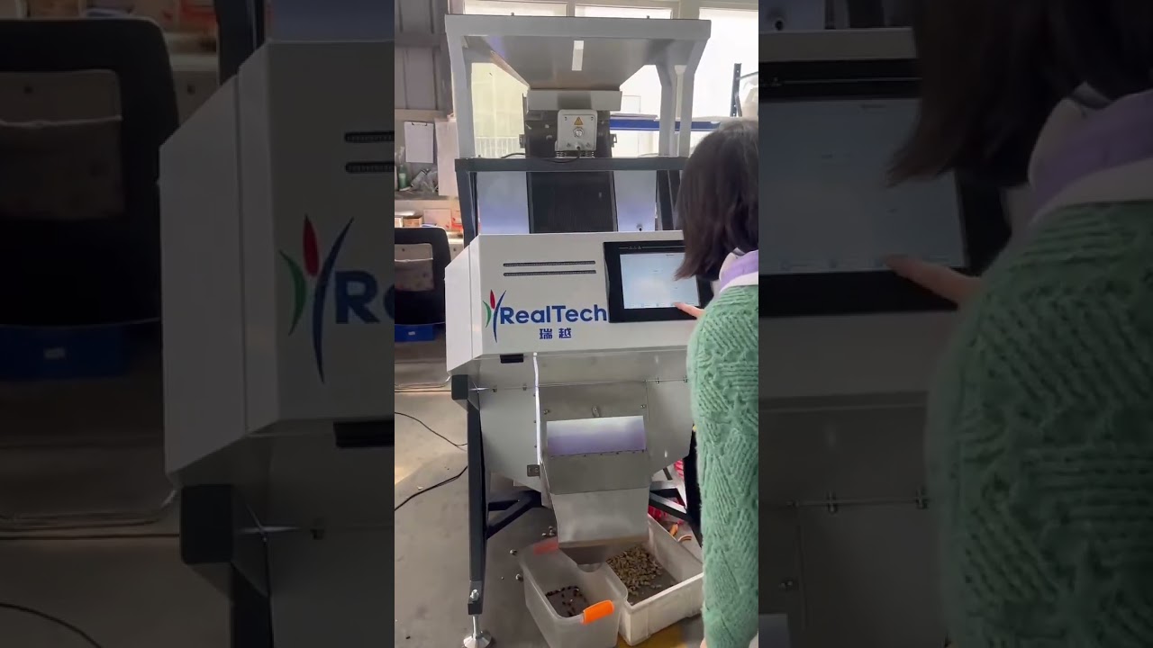 one chute cashew color sorrter machine