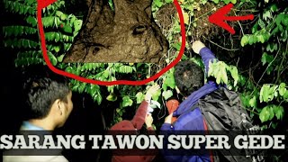 CARI MASALAH SAMA TAWON??PART AKHIR