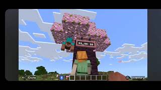 Minecraft Bedrock: The Time Capsule Addon