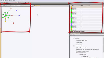 Create a minimum spanning tree based on MLVA/VNTR data (BioNumerics 7.6)