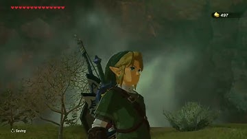 [DAY 497] of finding one korok seed everyday until Botw2 comes out