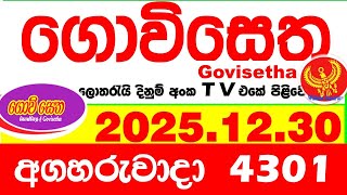 Govisetha 4301 2025.12.30 Today Nlb Lottery Result අද ගවසත දනම පරතඵල Lotherai Dinum Anka
