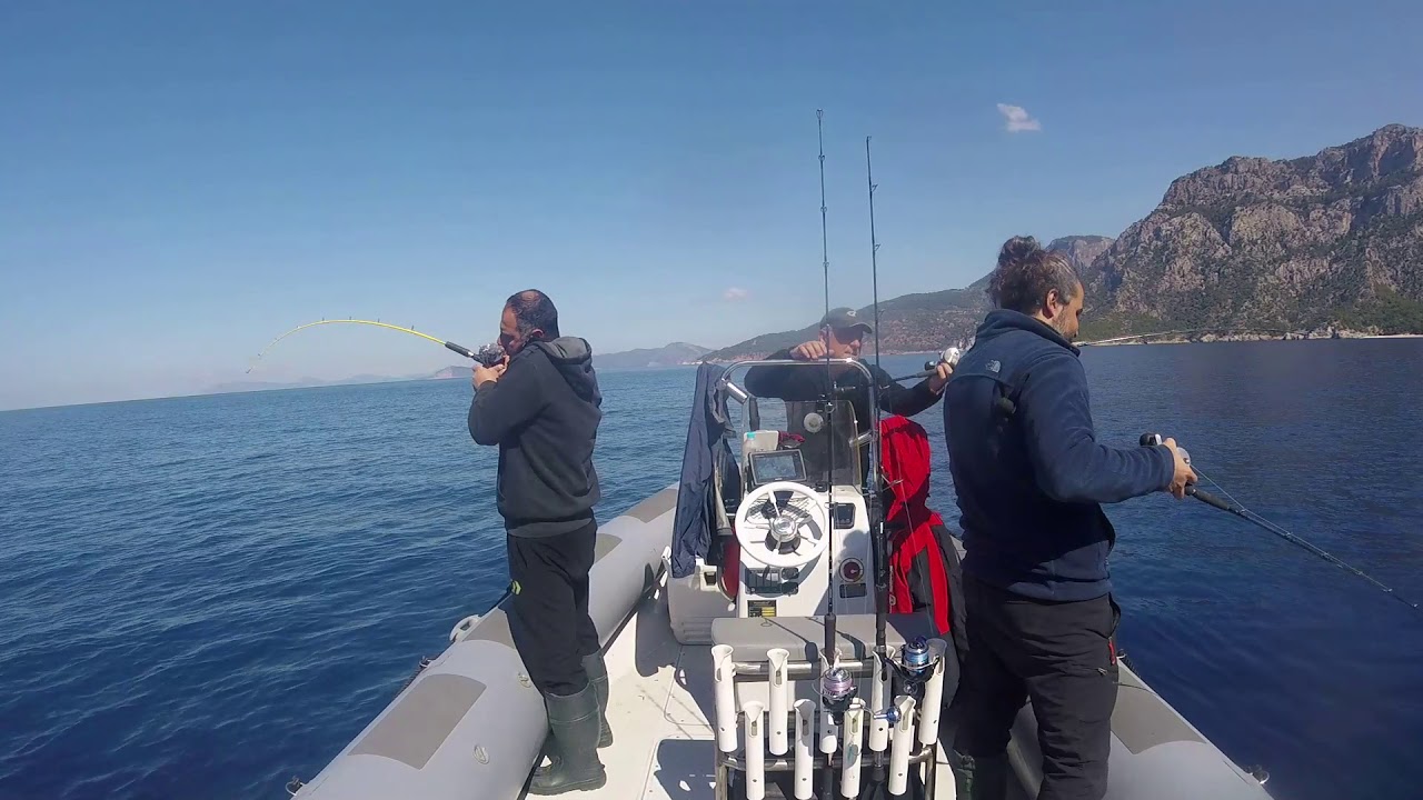 Fethiye  Sinarit Sarıkuyruk ve  Patlakgöz avı