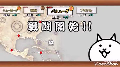 にゃんこ バミューダ