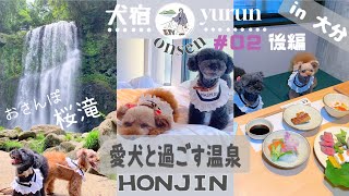 【犬宿・大分】#2後編NEW OPEN♨付き犬宿　本陣HONJIN in 天ケ瀬温泉（大分県日田市天瀬町）～後編～　@inuyado
