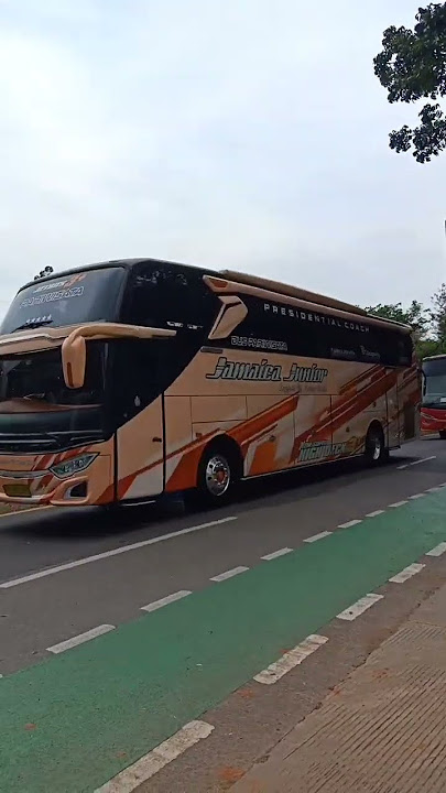 Konvoi bus Pariwisata dan AKAP #busmania #fypシ