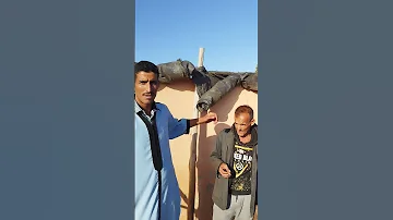 رحبة المعز بهوارة اكسبلور كامري Goat محركات متابعه الاليستريتور 