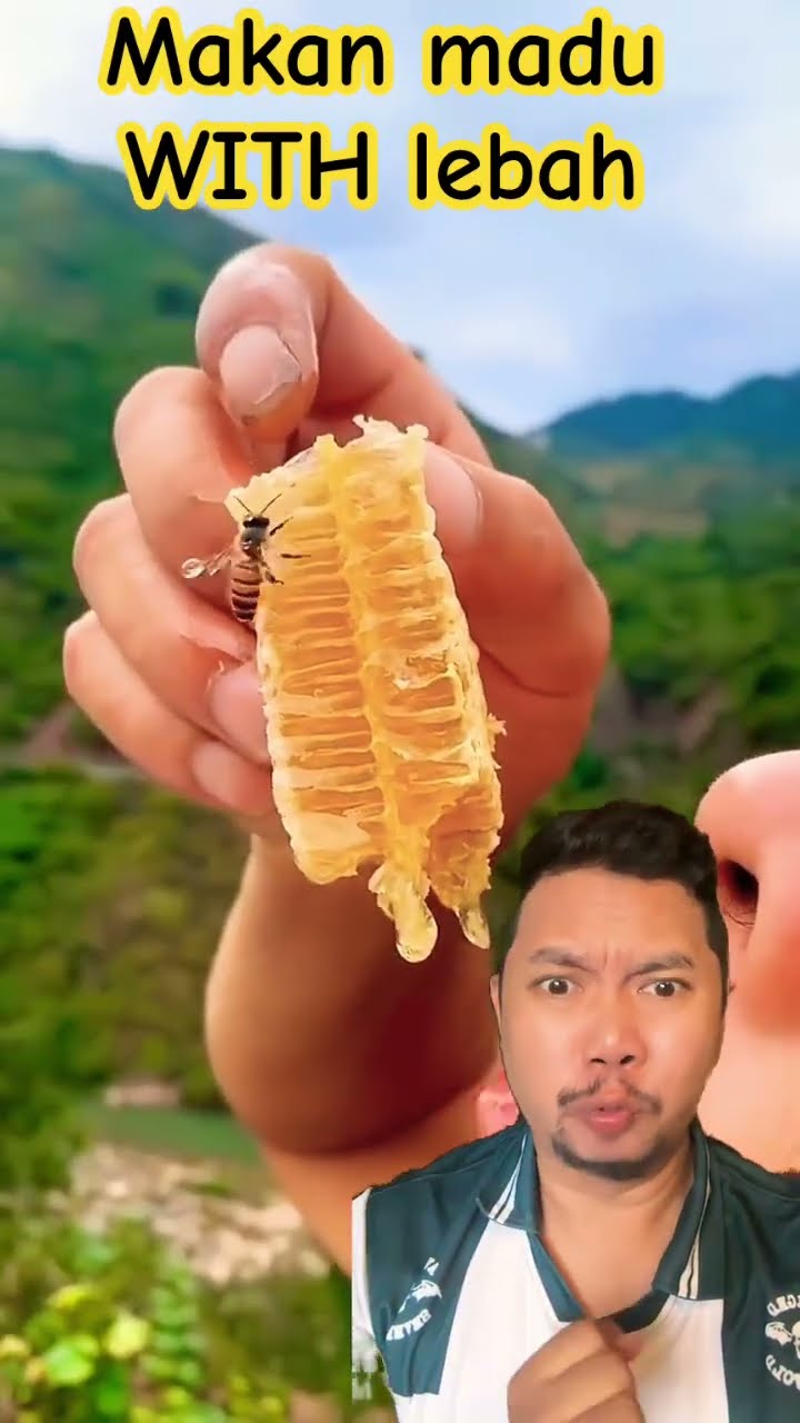MAKAN MADU WITH LEBAH LUCU!!!?? #honey #maduoriginal #madu #shortsfeed