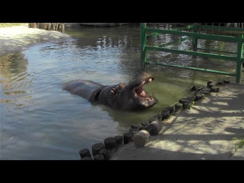 Зоопарк в Краснодаре солнечный остров,очень красиво.