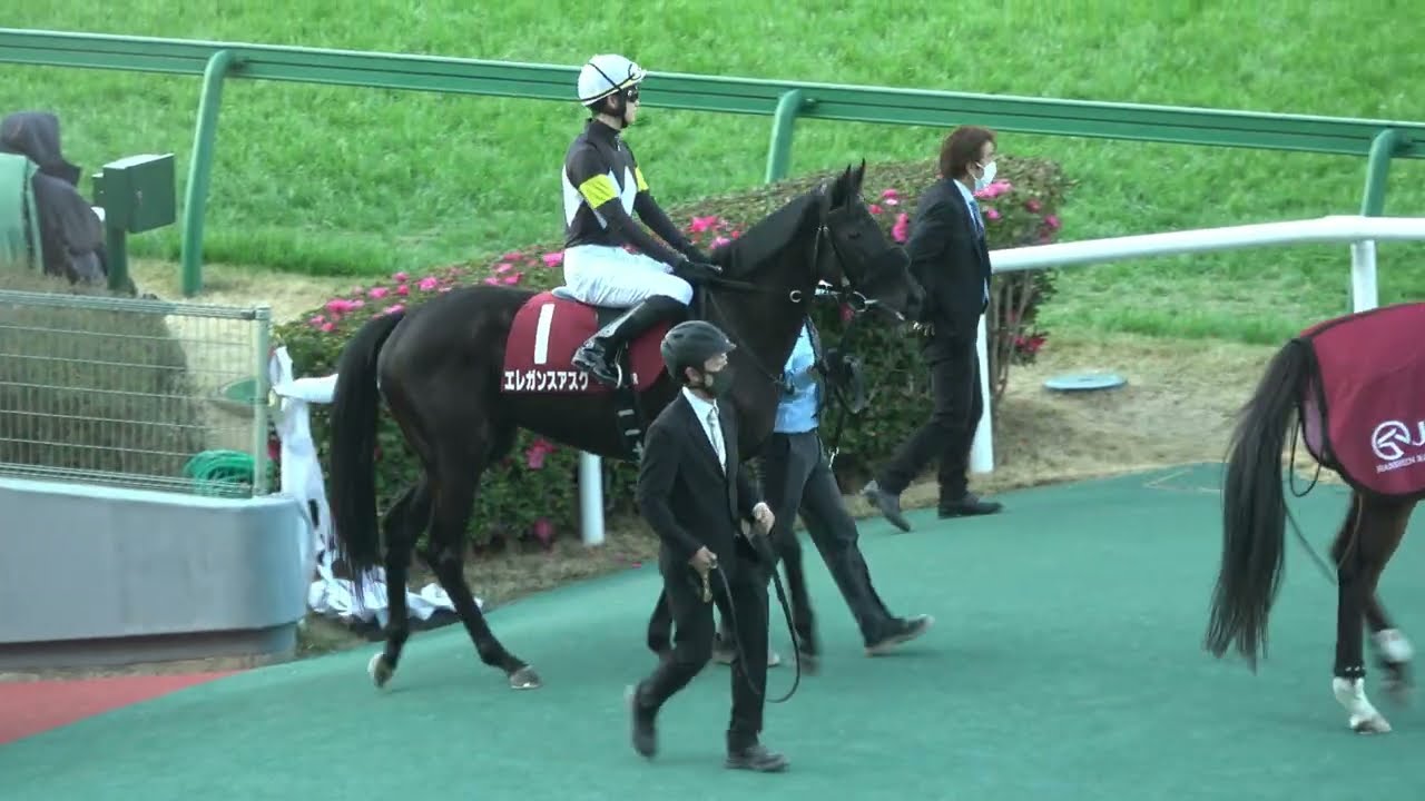 チューリップ賞2026】本馬場入場 現地映像 ⑬タイセイボーグ - YouTube