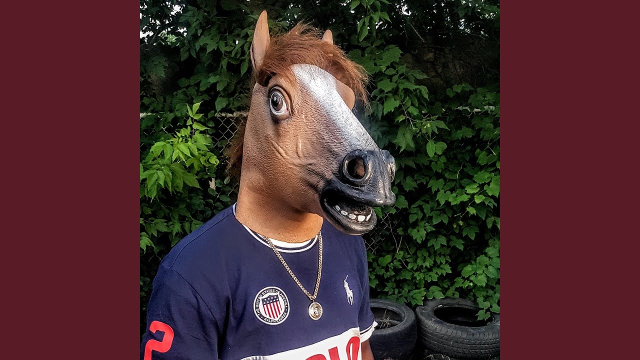 Tête Cheval