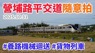 2025.10.31 // 營埔路平交道隨意拍 // 養路機械出港迴送 // 散裝貨物列車