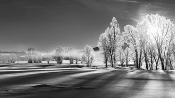 Vøsne - Shadows of the Meadows (Spclnch)