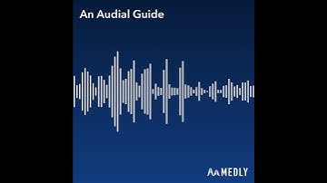 An Audial Guide by LuigiMSS (YT SHORT) #shorts #music #composition