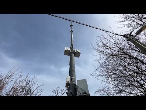 Видео: Вышку сотовой связи в Мытищах снесли по решению суда