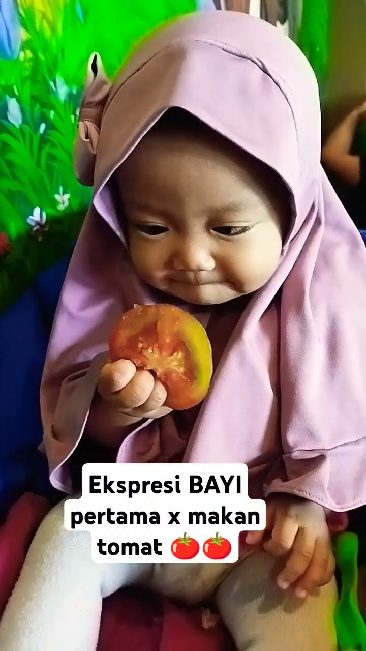 Ekspresi LUCU Bayi makan tomat #bayigemes #mpasi #fingerfood #kuliner # ...