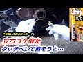 立ちゴケ傷をタッチアップペンで直そうとした結果…【CBR650R】