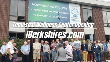 IBerkshires News: Temescal Wellness Grand Opening!