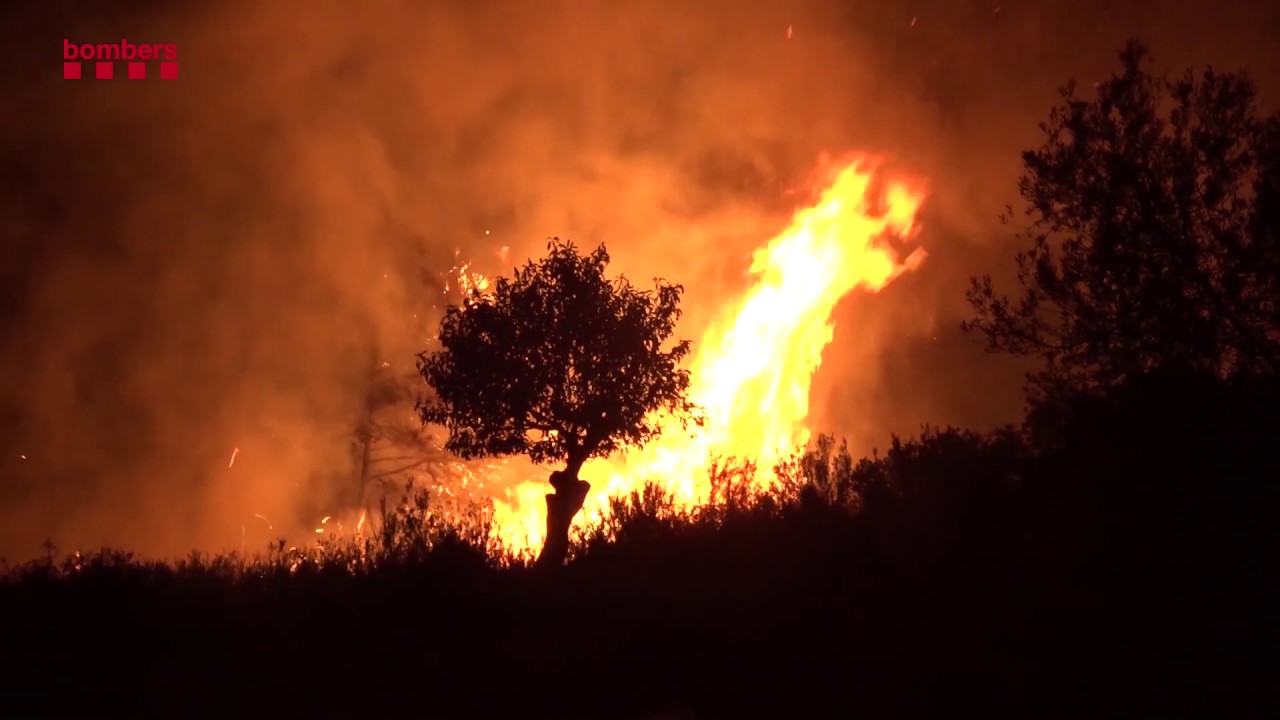 Retorn d'experiència de l'incendi forestal de La Torre de l'Espanyol.