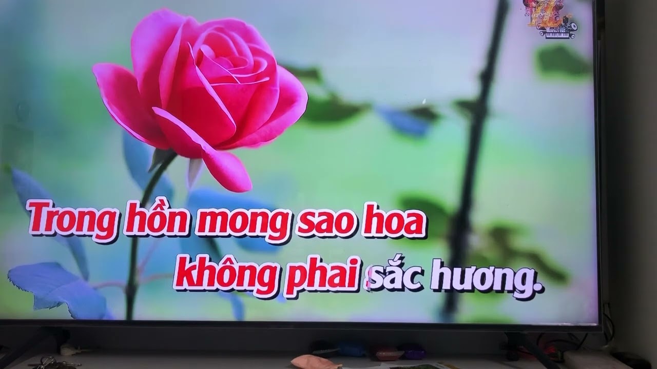 Karaoke. Nụ hồng mong manh . Tone nữ. Có lời. @