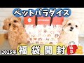 【2025年福袋】大人気！ペットパラダイスの福袋が可愛すぎて大当たり🐶💕2つの福袋の中身を大公開します🛍️✨【犬服】