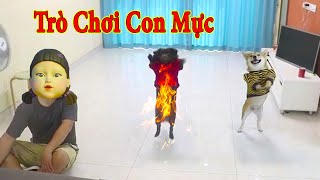 Thú Cưng TV | Ken Trẻ Trâu Bướng Bỉnh #13 | chó Shiba thông minh vui nhộn | Pets funny cute dog