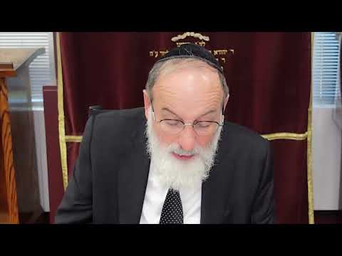 Amud Yomi Masechet Pesachim Daf 94B