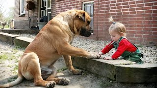 Random Acts of Kindness That Will Make You Cry !