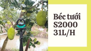 Béc tưới S2000 31L/h cho cây ăn trái