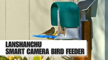Lanshanchu Smart Bird Feeder Camera - Volledige review!