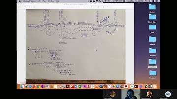 12.Deleuze : Series of Time / Brain, Fabulation, and Serial Images