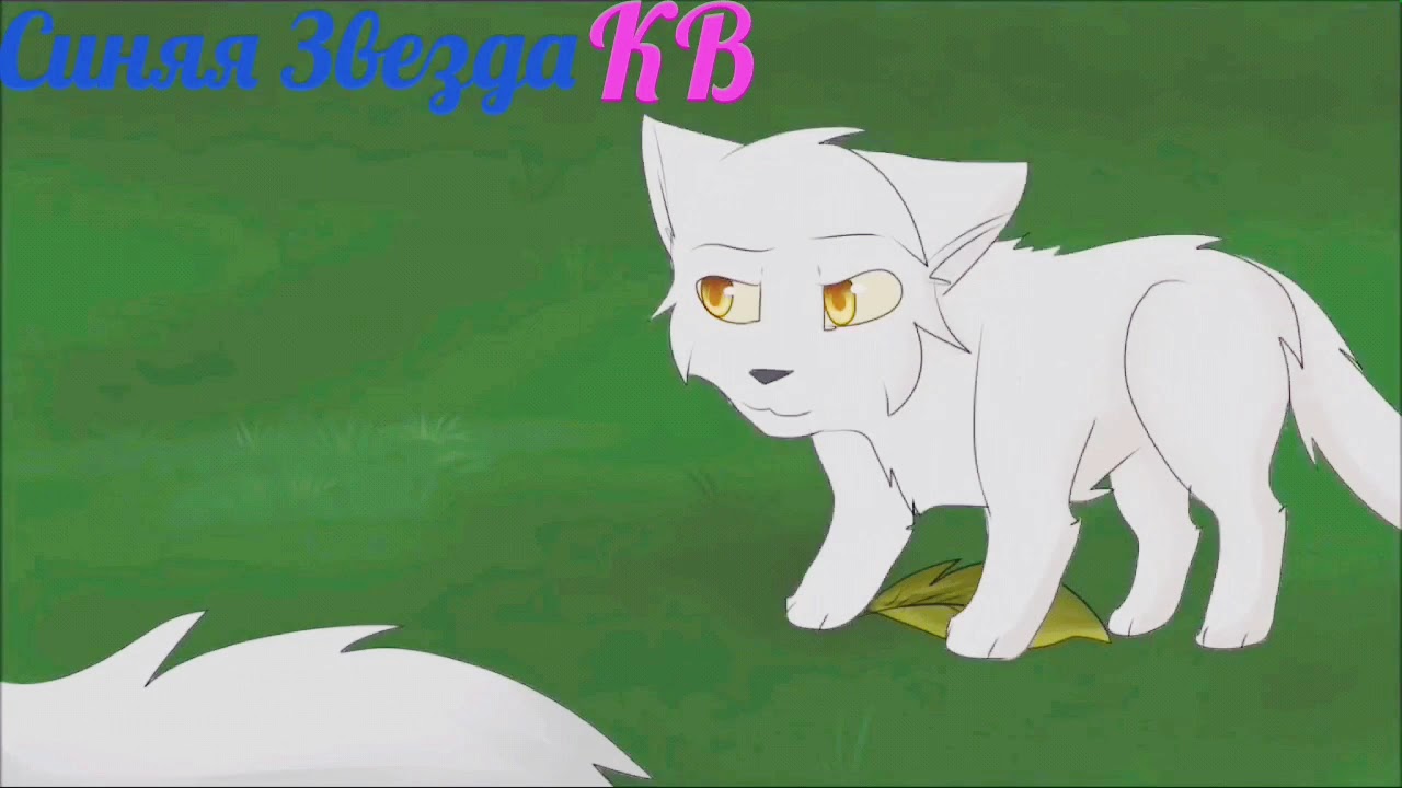 Картинки коты воители белогривка и остролап