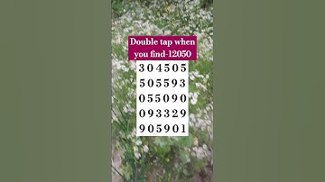 Observation Visual Test: 5 Seconds For You To Spot 12050 Try Your Skills! #search #puzzle #shorts