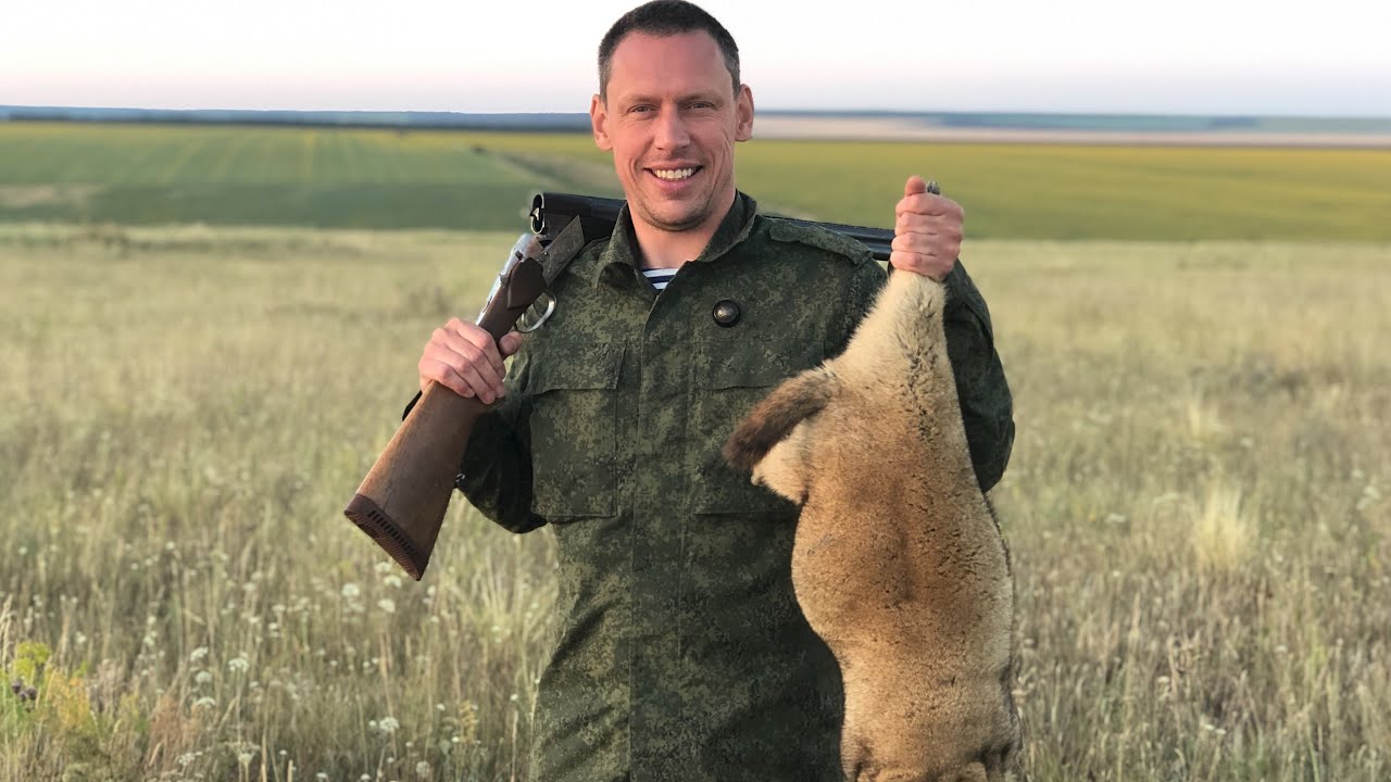 Сурок заслонщик. Охота на сурка байбака в Воронежской области. Сурок-Байбак варминтинг. Охота на сурка с гладкостволом.