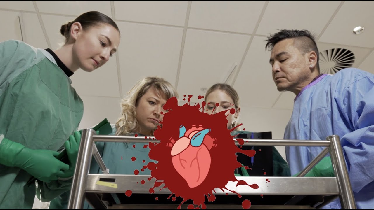 Why study Medicine at Western? The answer is right here....