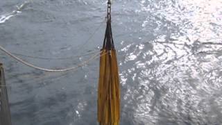 Offshore Crane Operation: load test with water bag