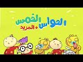 آدم ومشمش الحواس الخمس المزيد Adam Wa Mishmish 5 Senses More 