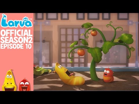 Official Tomato Larva Season 2 Episode 10