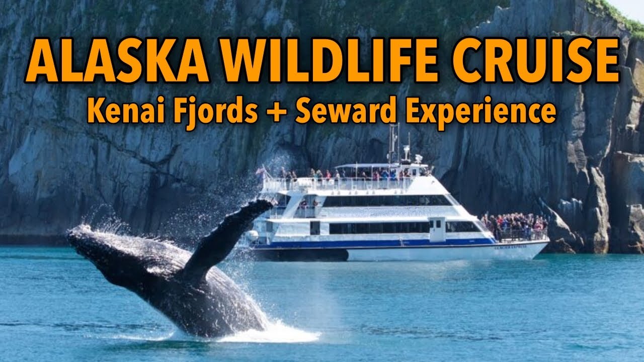 ak wildlife cruises facebook