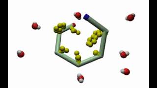 Hydrophobic Interactions in Protein Folding