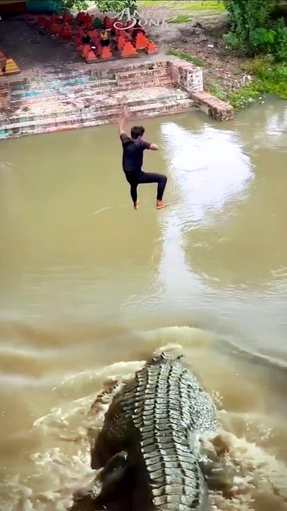 Amateur parkur! wanted to look cool but ended up in the crocodile's lap #shorts #omg #animals #india