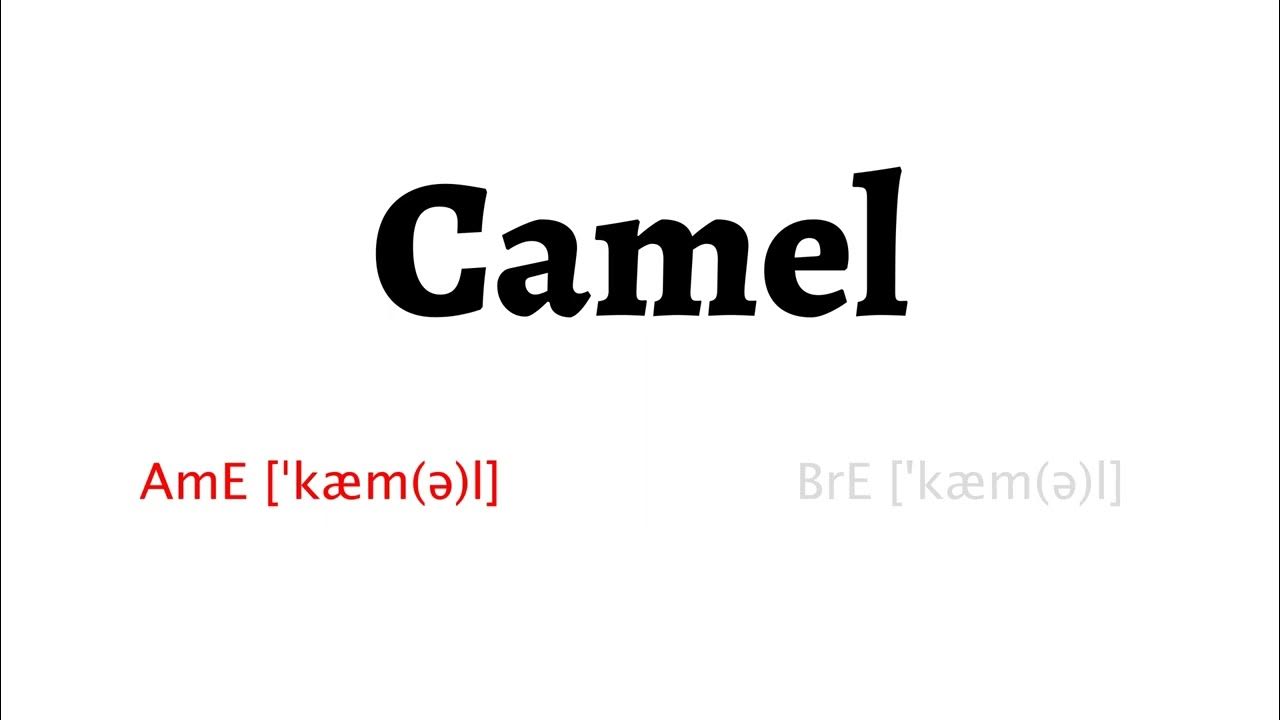 How to Pronounce camel in American English and British Englishcamel YouTube