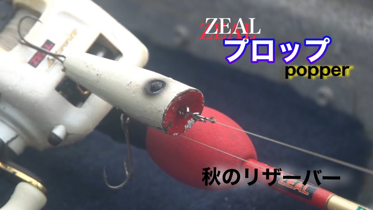 プロップ/ZEAL/ポッパー - YouTube プロップ/ZEAL/ポッパー - YouTube