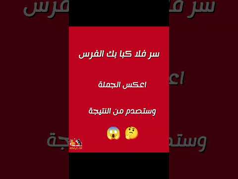 سؤال ذكاء سر فلا كبا بك الفرس اعكس الجملة و ستصدم من النتيجة أسرار اللغة العربية