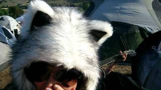 LIB 2011