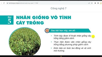 Công nghệ 7: Bộ kết nối tri thức: bài 5: Nhân giống vô tính cây trồng.