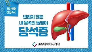 반갑지 않은 내 몸속의 돌맹이 '담석증'