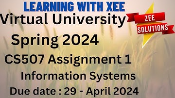 CS507 Information Systems Assignment 1 Spring 2024 Virtual University of Pakistan